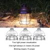 Outdoor Camping Portable Light With Carabiner